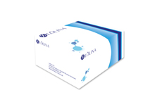 NaM601001_Lolina Advanced qPCR SYBR Master Mix_11185